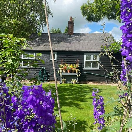 Thompsons Cottage Beverley Zewnętrze zdjęcie