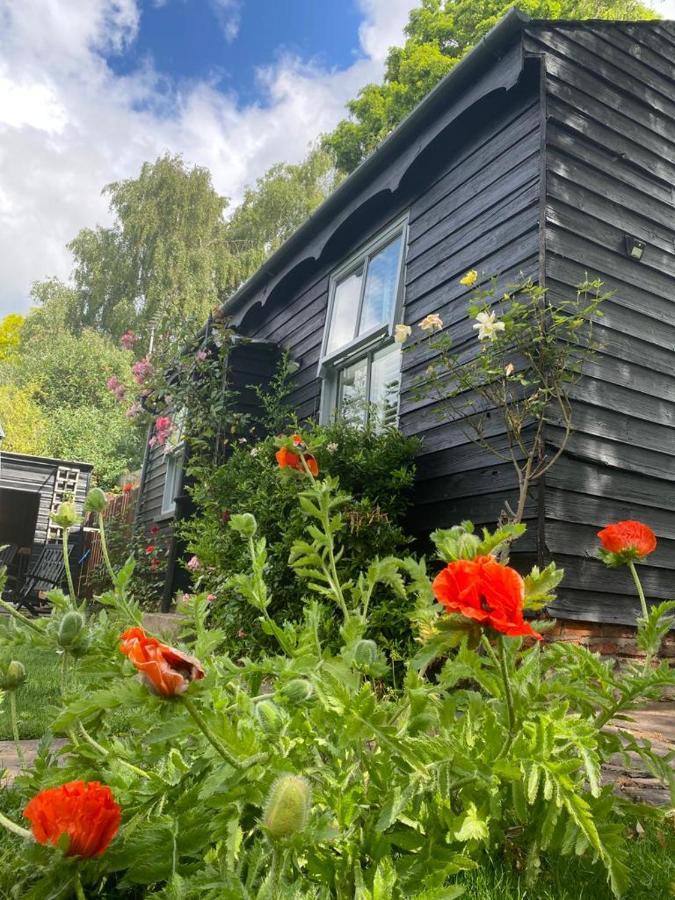 Thompsons Cottage Beverley Zewnętrze zdjęcie