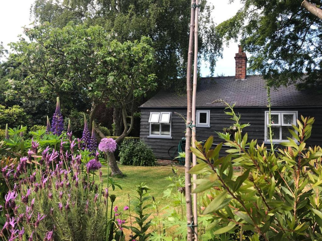 Thompsons Cottage Beverley Zewnętrze zdjęcie
