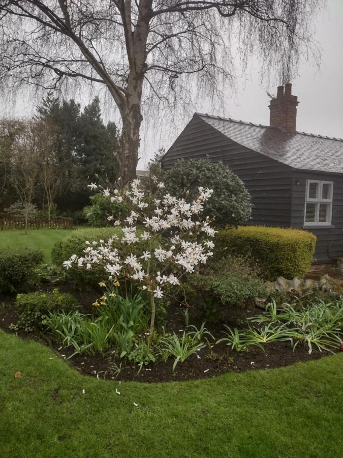 Thompsons Cottage Beverley Zewnętrze zdjęcie