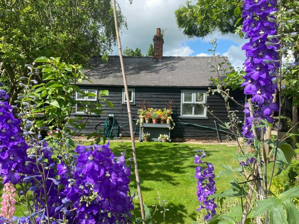 Thompsons Cottage Beverley Zewnętrze zdjęcie
