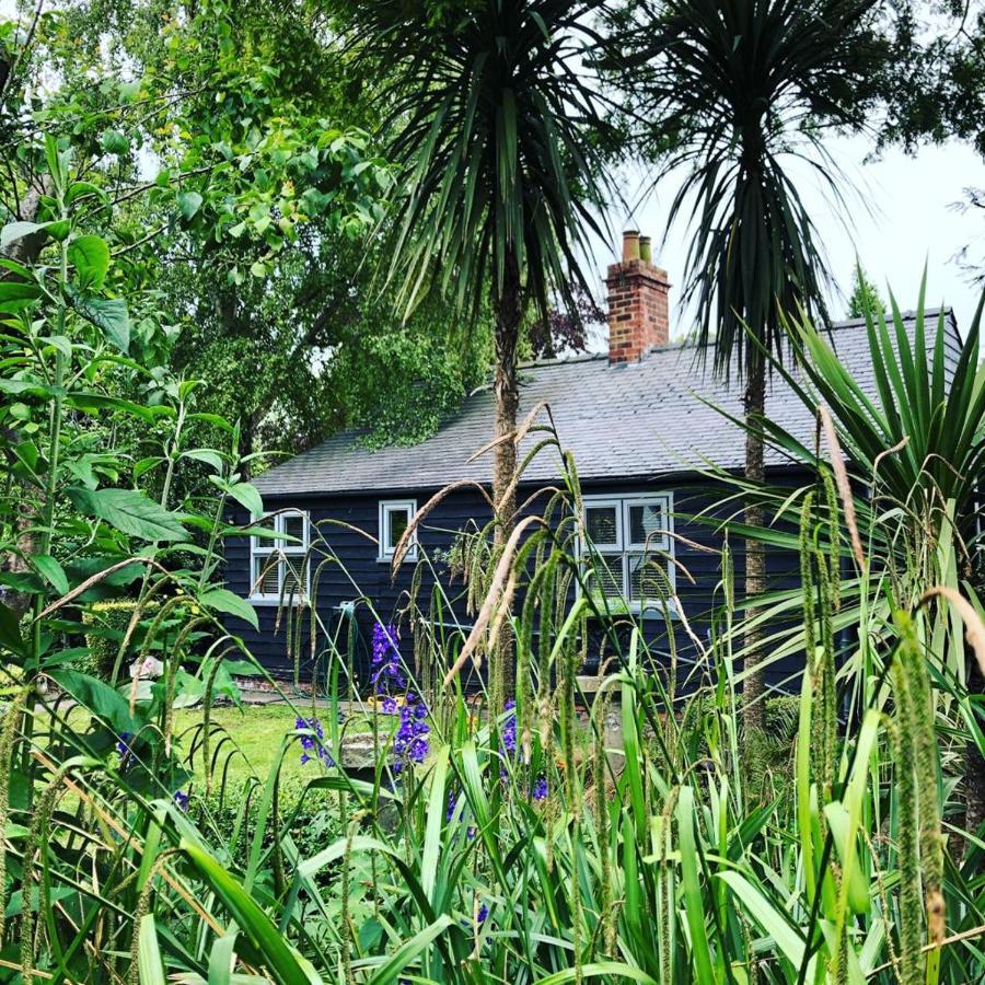 Thompsons Cottage Beverley Zewnętrze zdjęcie